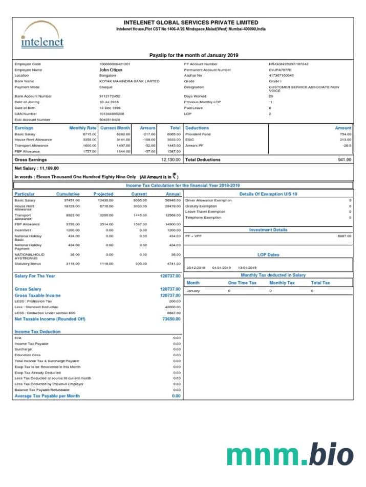Indie Intelenet Global Services Limited odcinek wypłaty w formatach Word i PDF